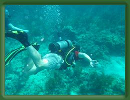 Seabase Scuba 2012 (36) * 4288 x 3216 * (2.3MB)